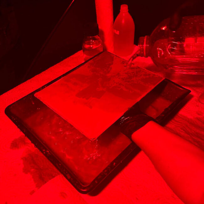 0484d44c-ab40-4efe-8584-3019477a7117